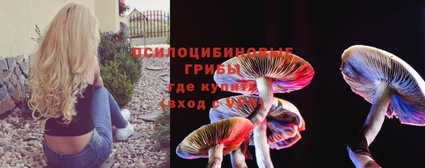 прущая мука Алзамай