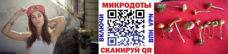 купить закладку  Сарапул  Псилоцибиновые грибы мицелий 