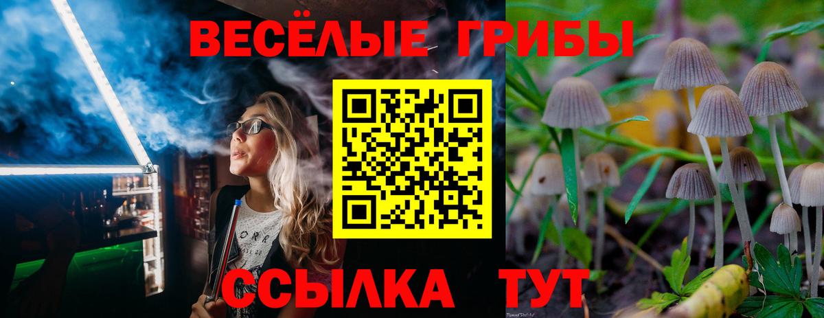 Псилоцибиновые грибы Magic Shrooms Сарапул